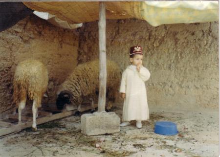 aaid al adha
